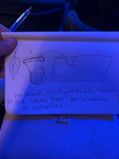 Original uploaded image