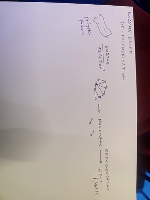 Original uploaded image