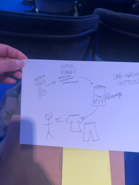 Original uploaded image