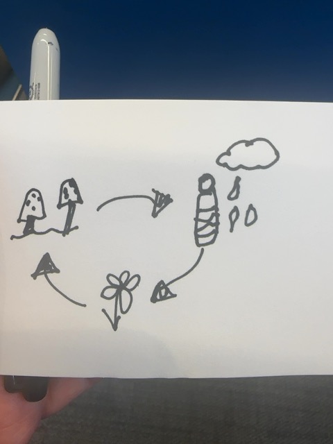 Original uploaded image