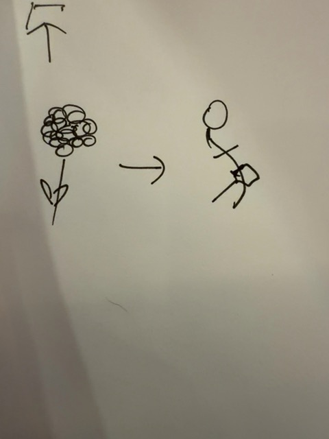 Original uploaded image