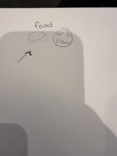 Original uploaded image