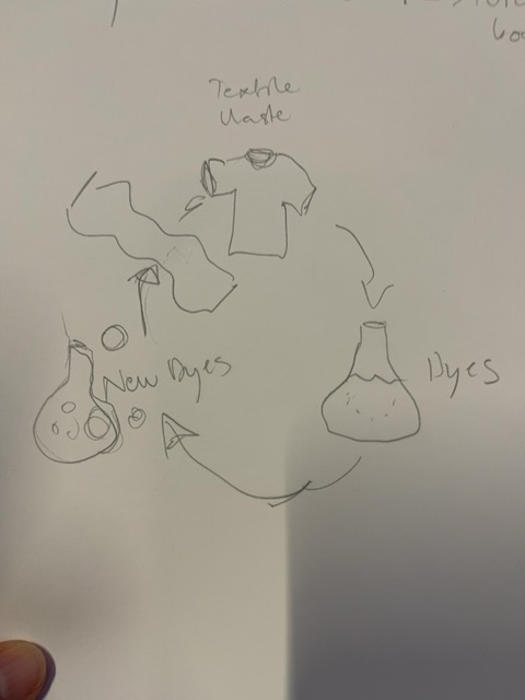 Original uploaded image