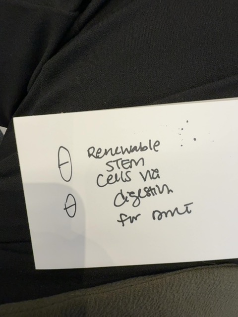 Original uploaded image