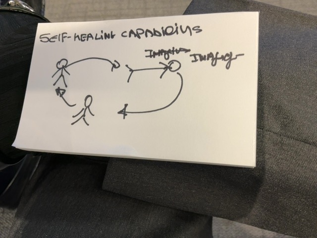 Original uploaded image