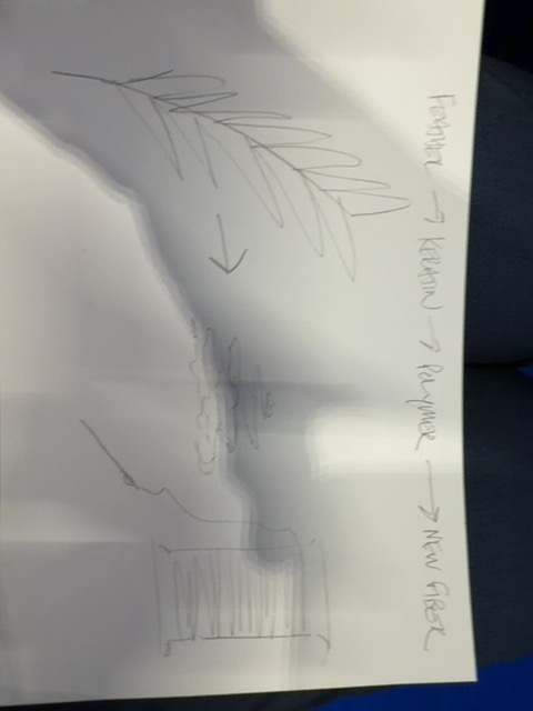 Original uploaded image