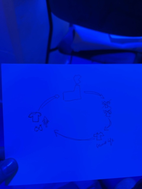 Original uploaded image