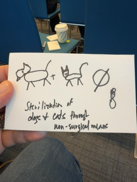 Original uploaded image