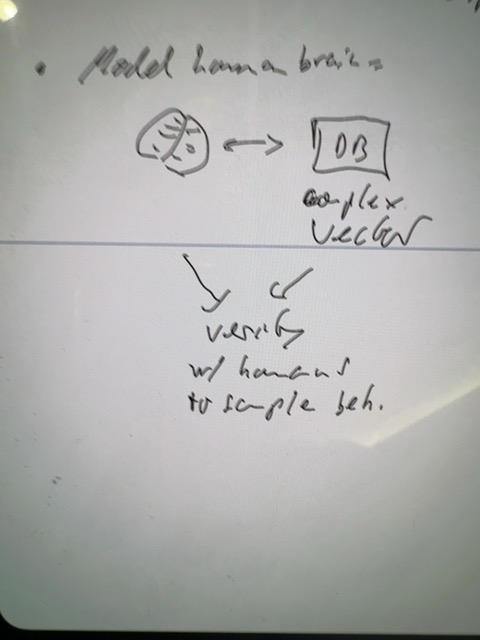 Original uploaded image