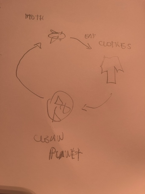 Original uploaded image