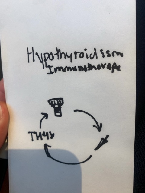 Original uploaded image